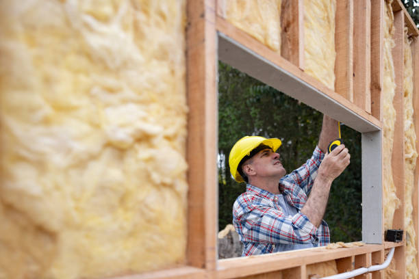 Professional Insulation in Indianola, IA